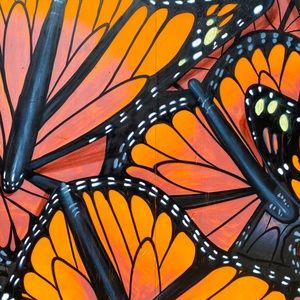 Meet your Posher, Tim